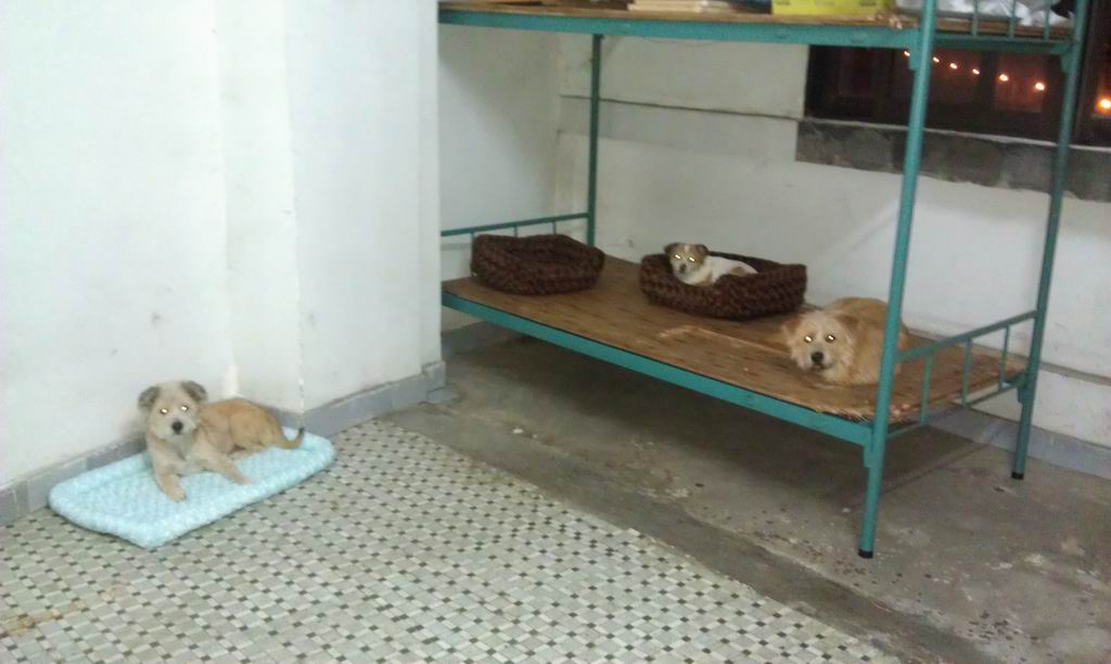 IMAG0483.jpg