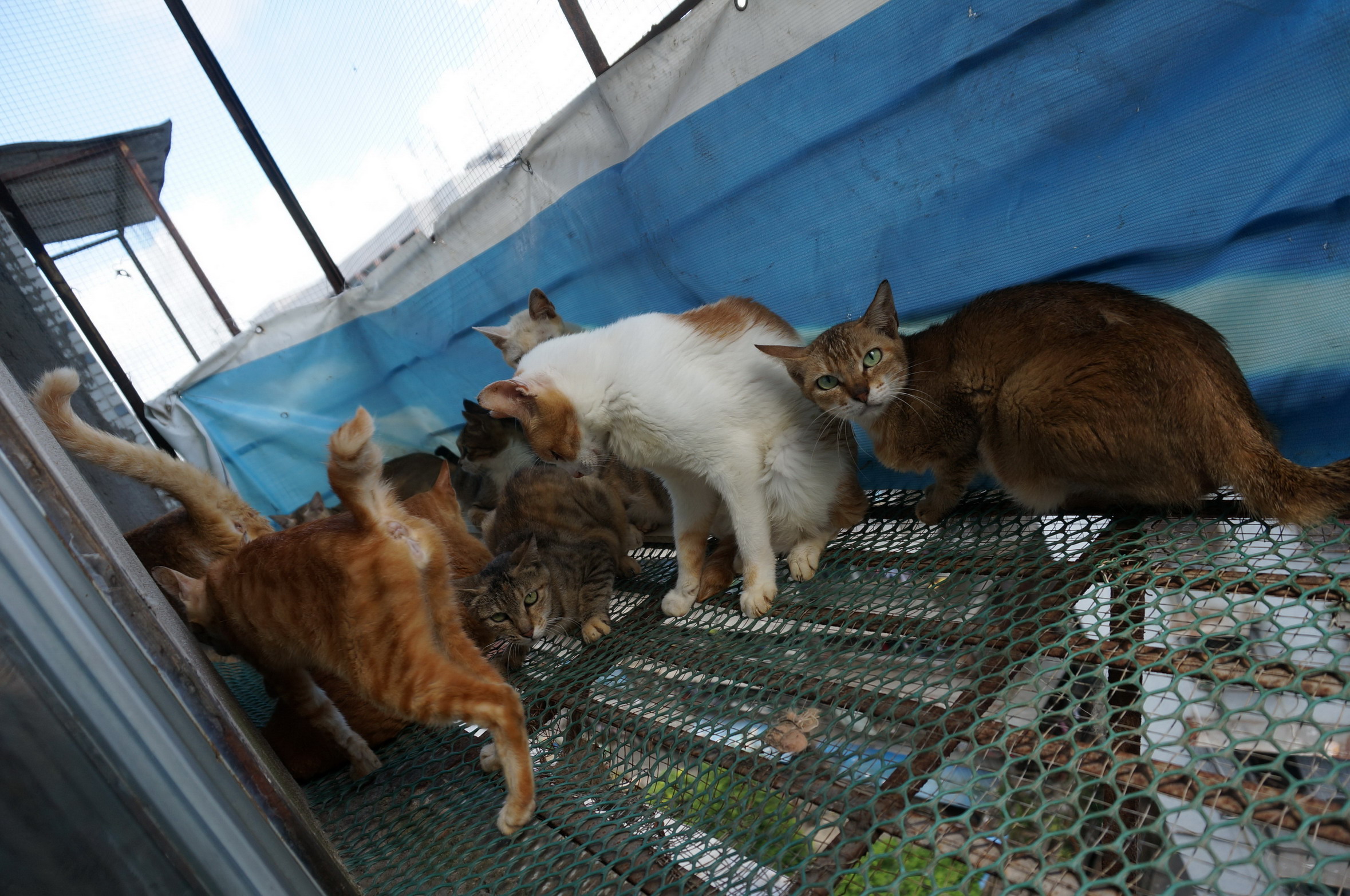 DSC07098.jpg