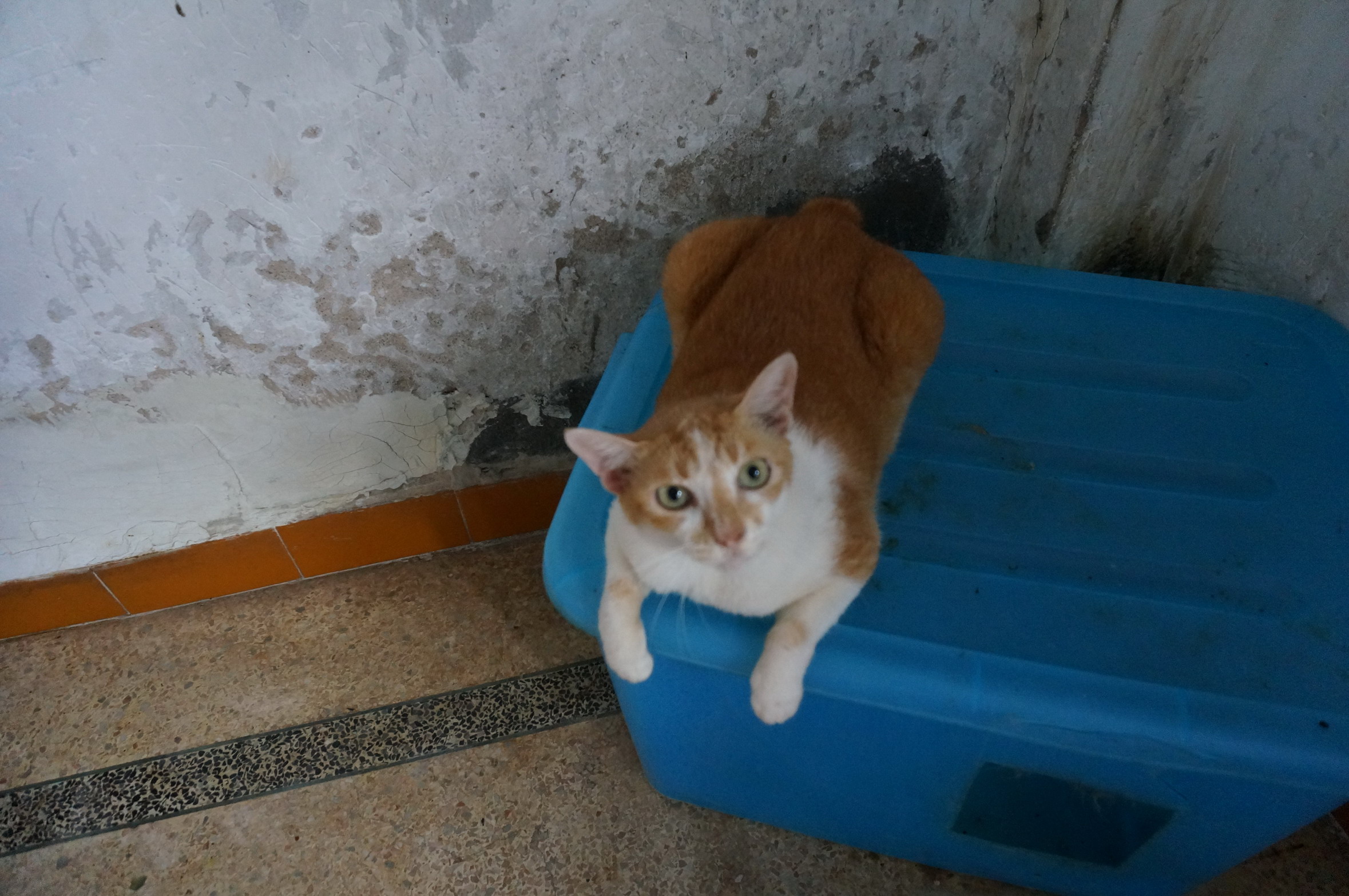 DSC07099.jpg
