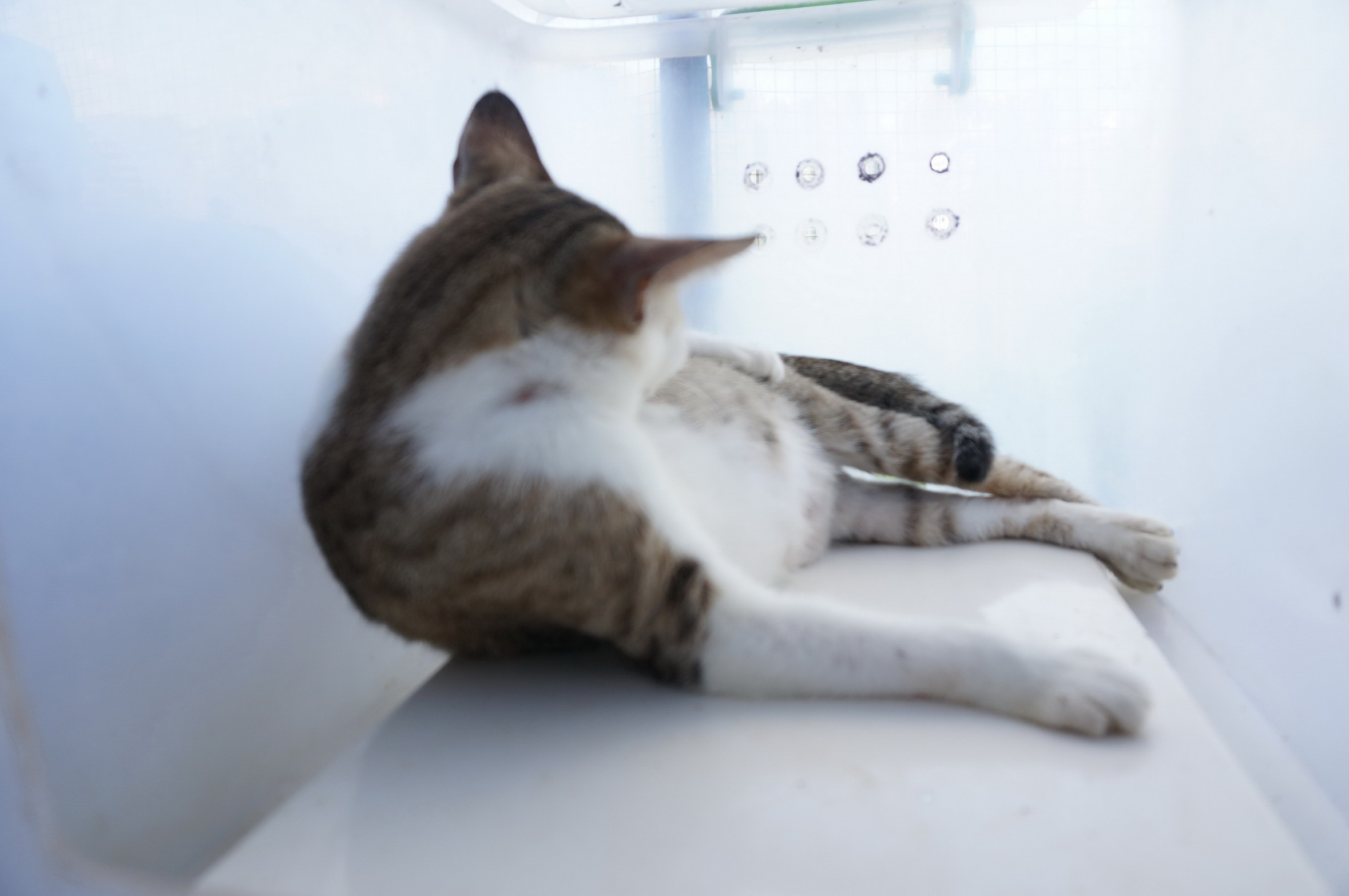 DSC07111.jpg