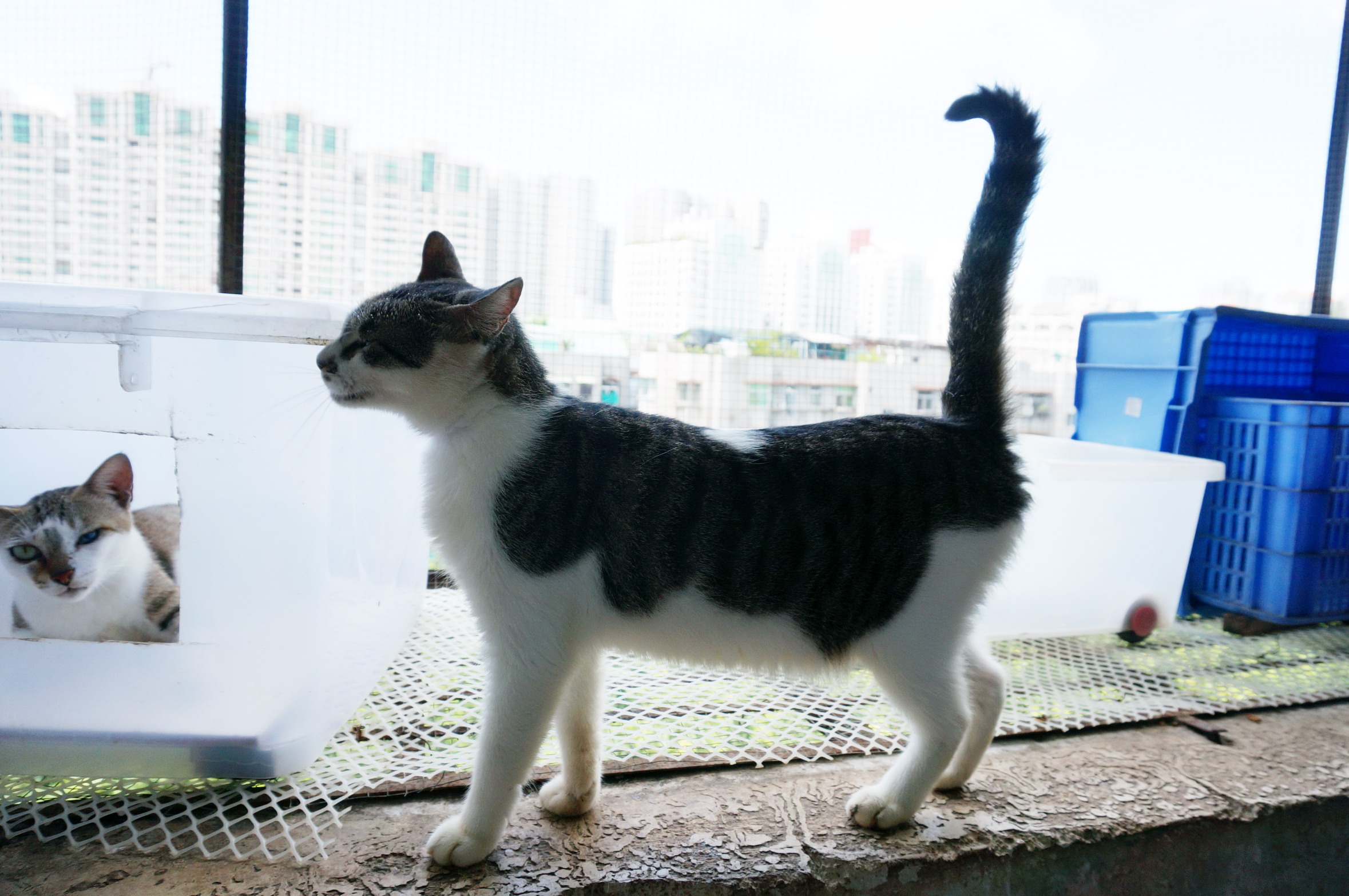 DSC07115.jpg
