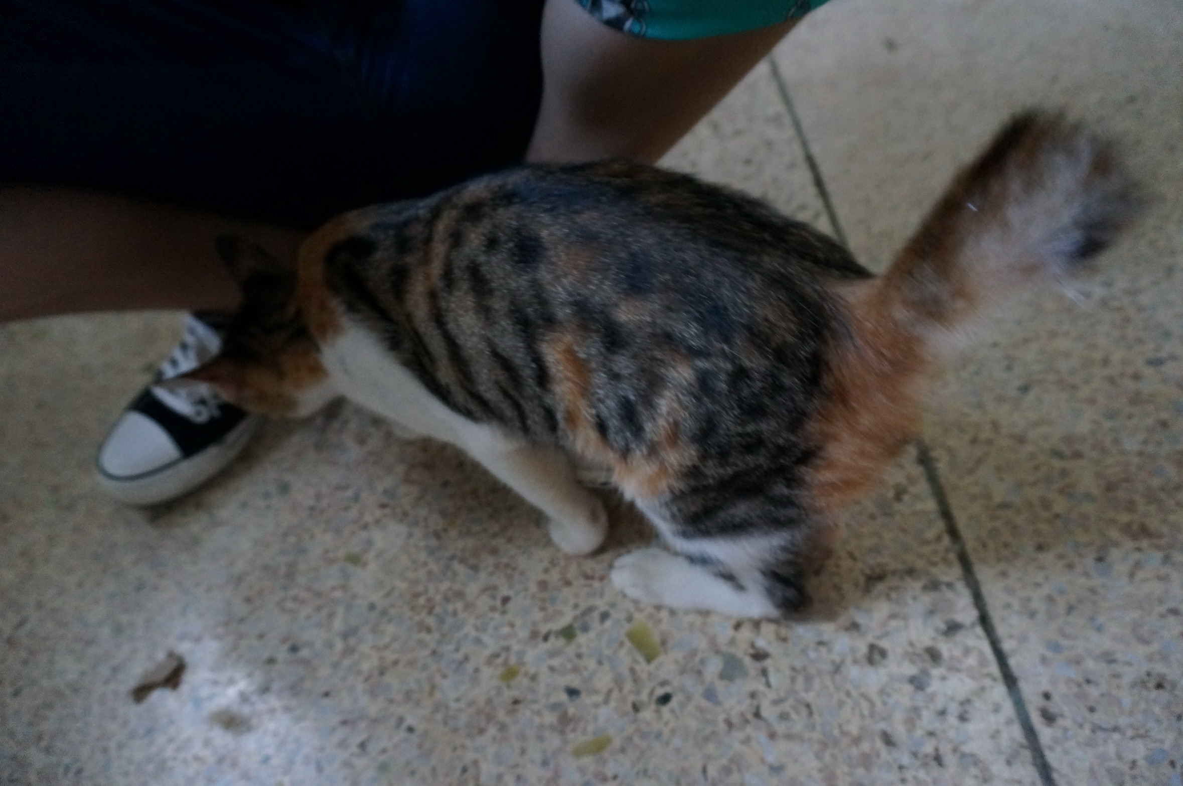 DSC07127.jpg