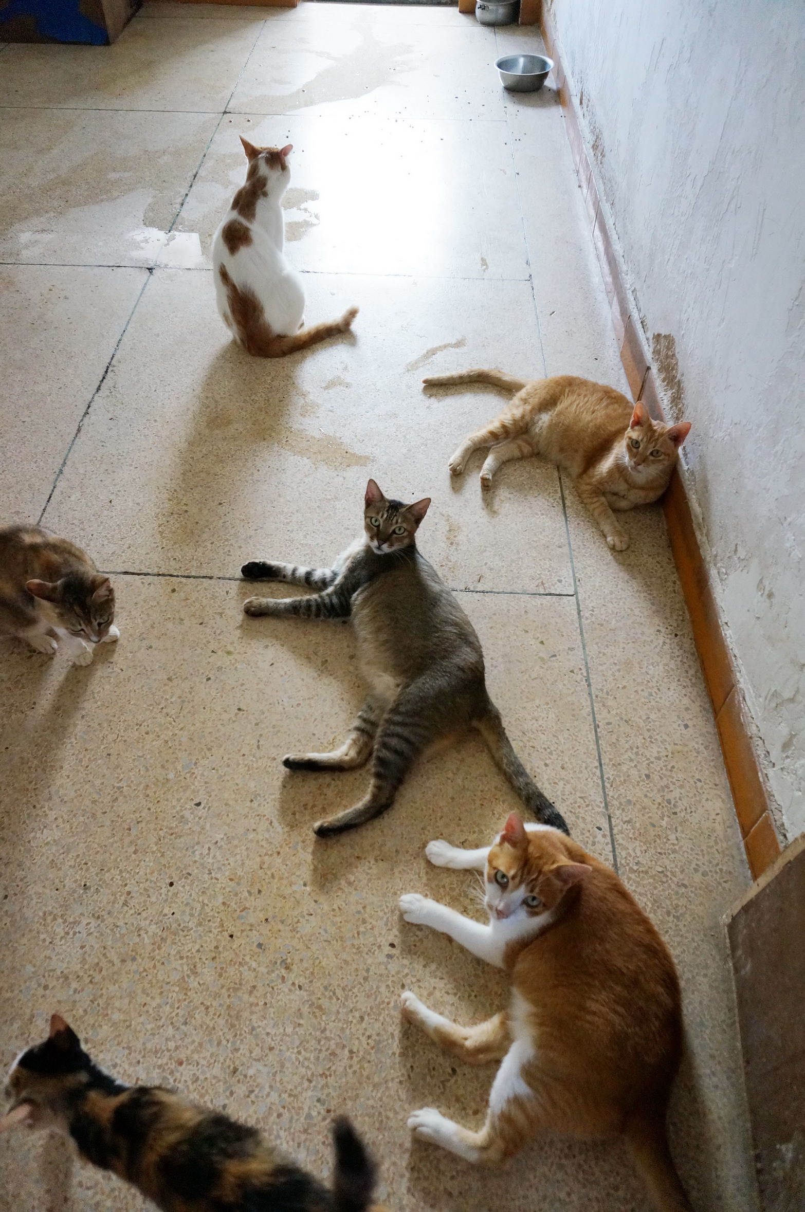 DSC07184.jpg
