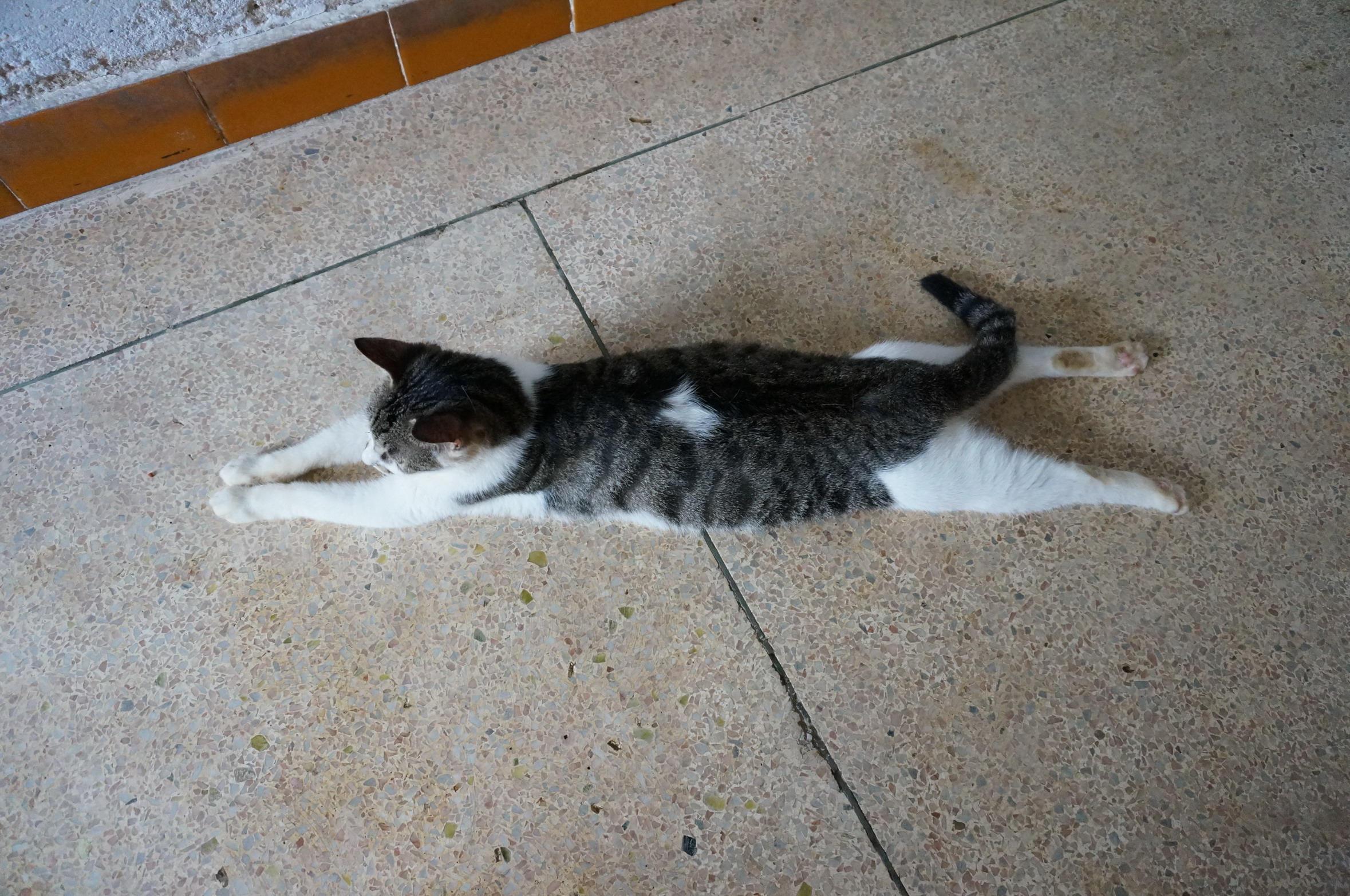 DSC07208.jpg